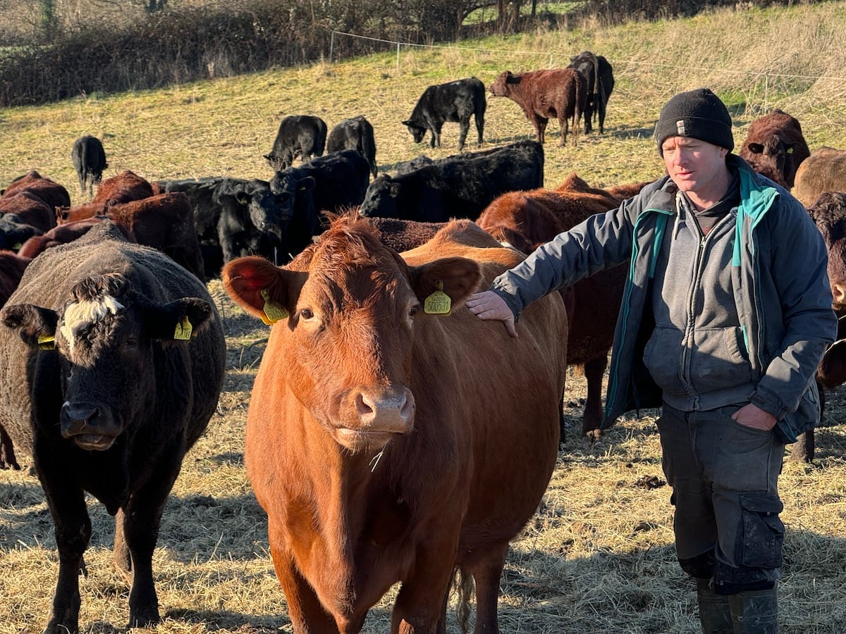 Meet the High Weald Farmers: Sam Newington