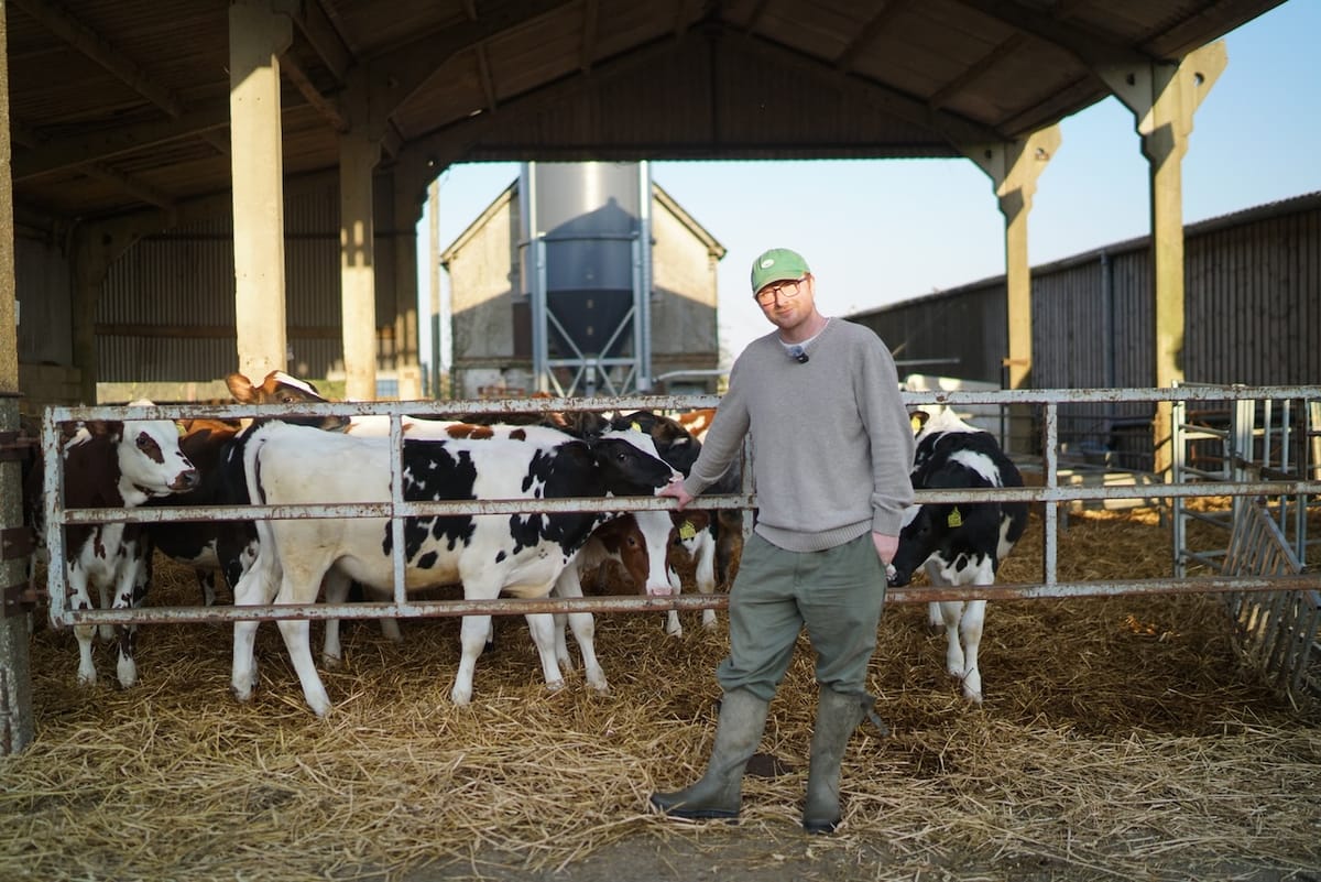 Falconhurst Estate: Holding It All Together