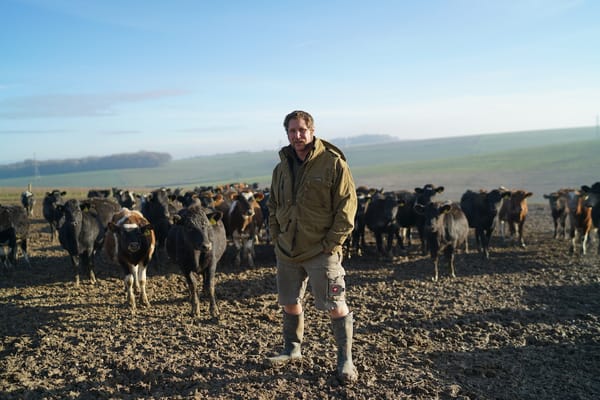 Meet the Regenerative Farmer: Tim May