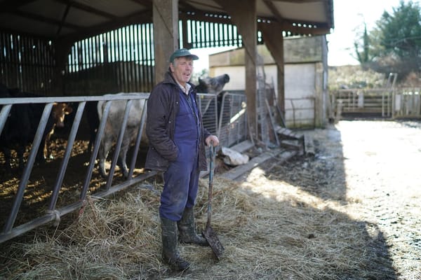 Farming by observation: Life below the surface at Lomas Farm