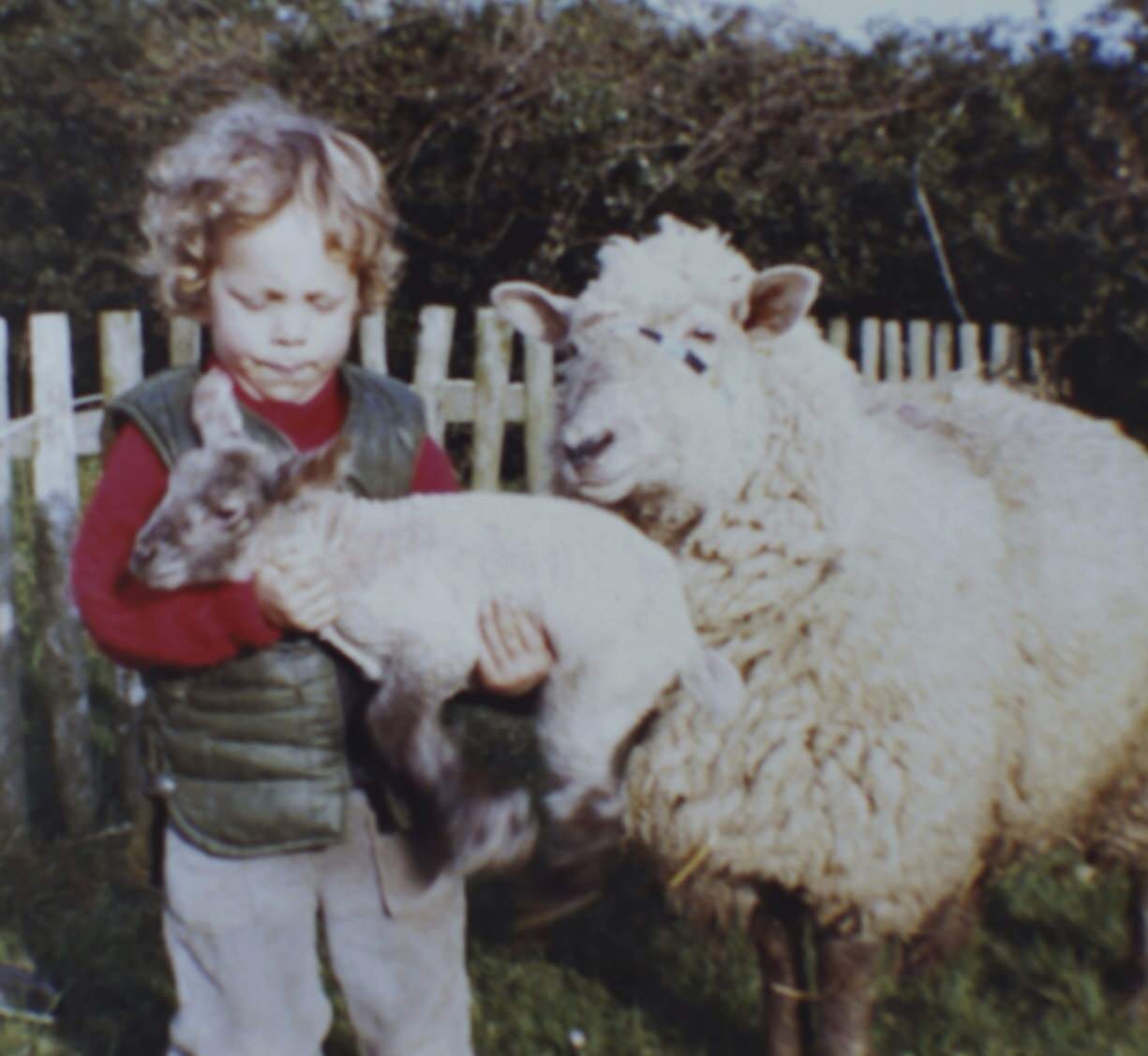 Beginners Guide to Lambing