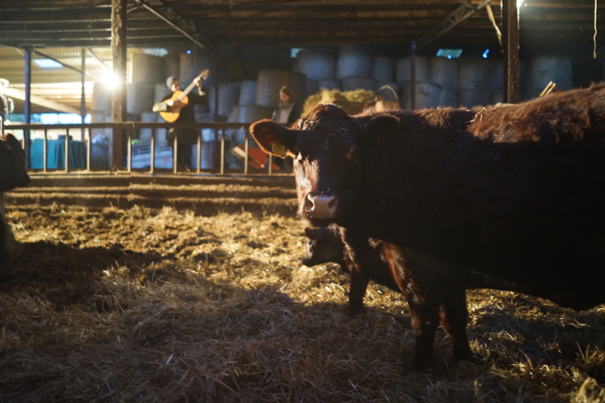 Farmerama Radio