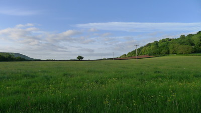 the field view