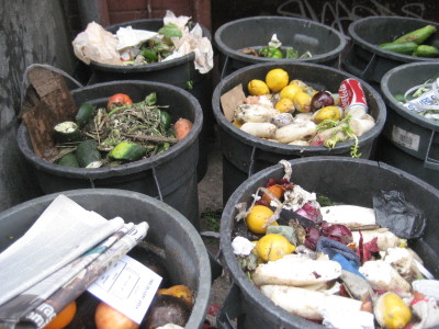 the food waste view