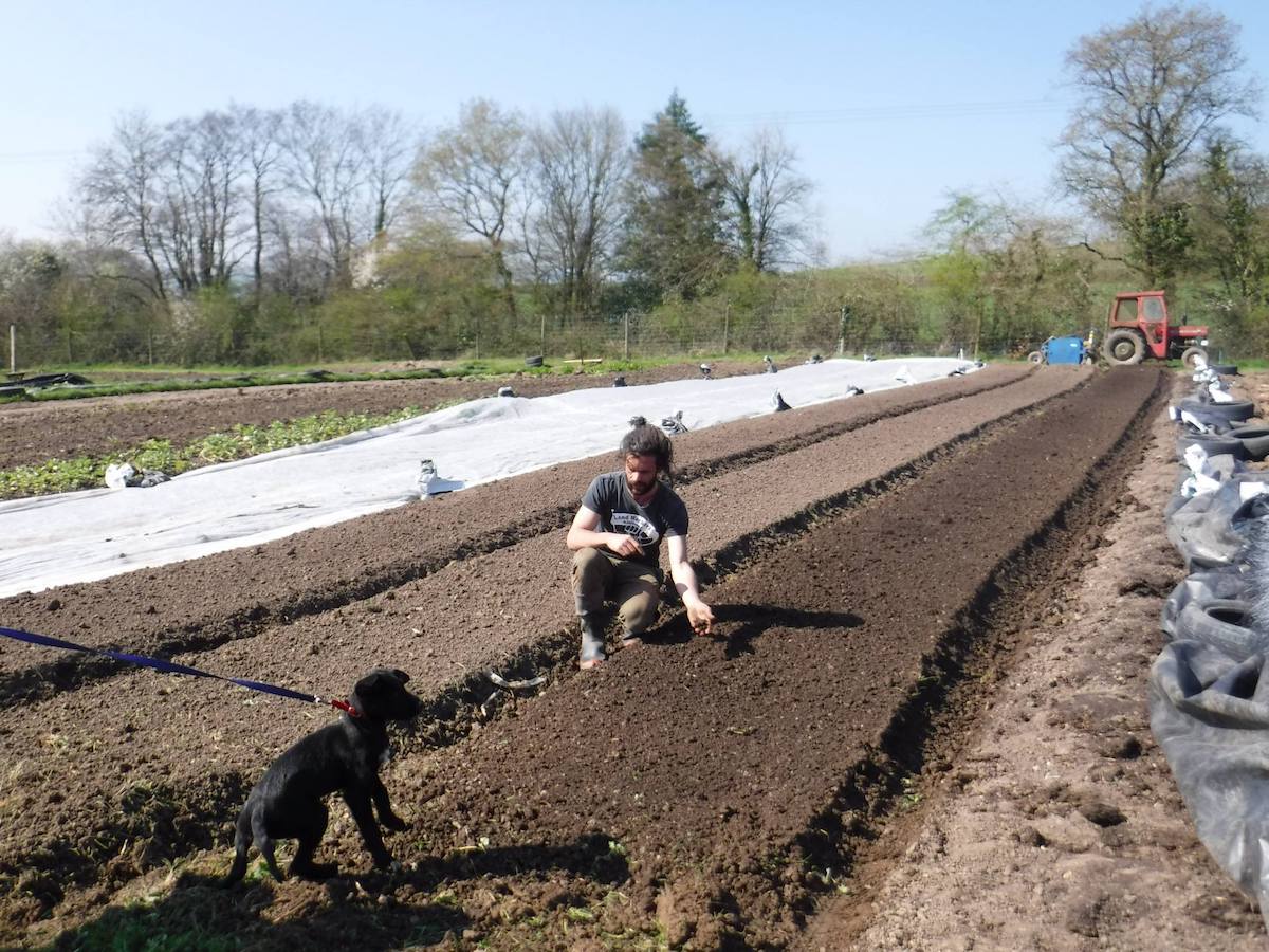 market gardening course