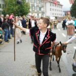 cow parade