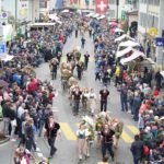 cow parade
