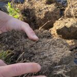 Soil testing at Romshed Farm in the Kent Downs