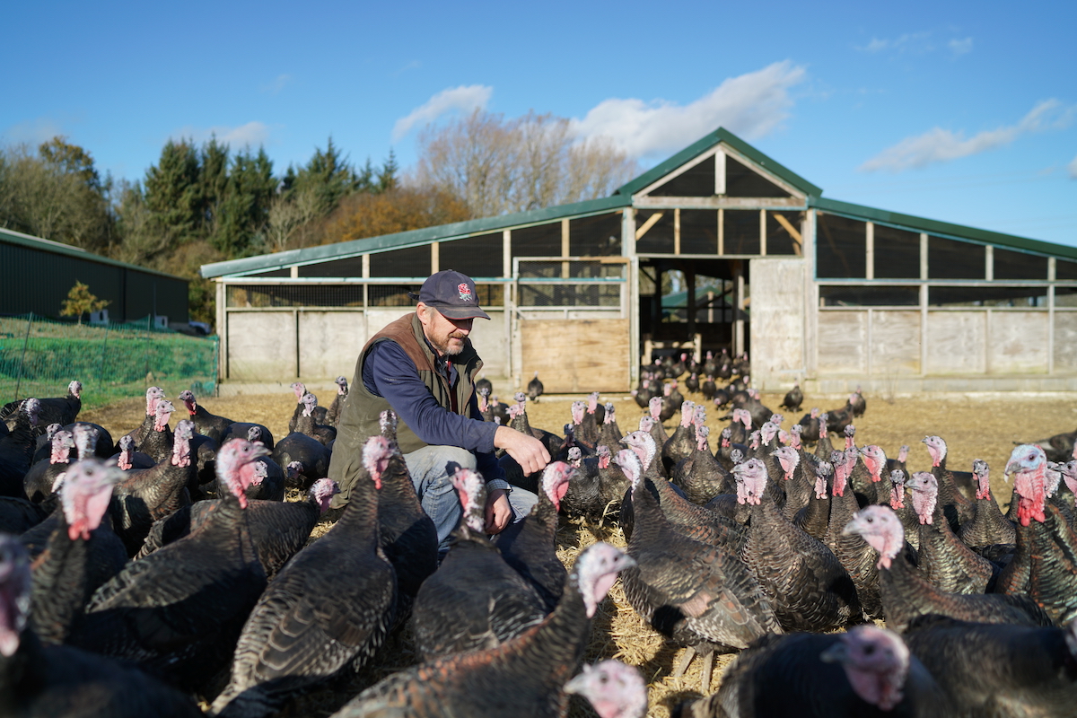 Turkey Farmer
